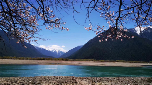 1744963961133105.jpg 微信圖片_20250418155254.jpg